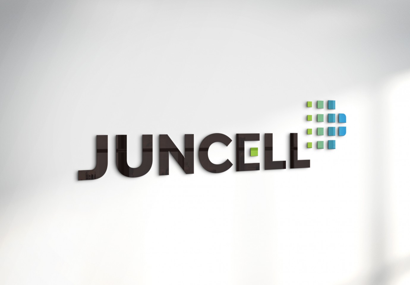 JunCell - (주)매그나텍